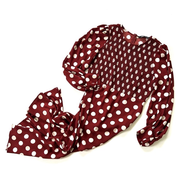 Zara Burgundy Rust Brown & White Polka Dot Smocked Blouson Sleeve Maxi Dress - Picture 2 of 8